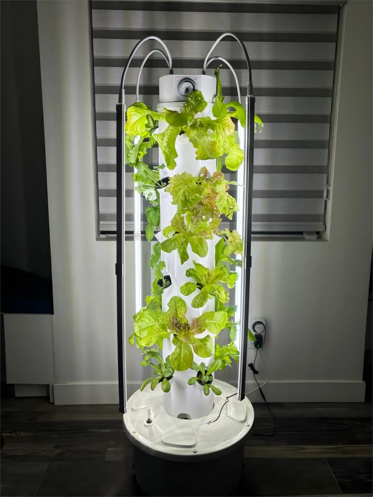 Close-up of an Ovelium hydroponic tower growing lettuce with LED grow light bars in a home