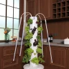 24plant-04 Ovelium 24-Plant Hydroponic Tower growing leafy greens in a kitchen
