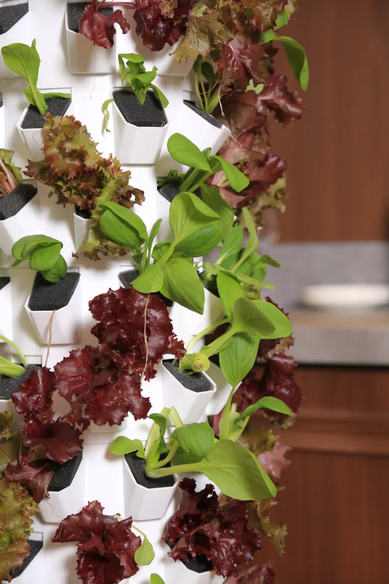 Ovelium 96-Plant Hydroponic Tower growing leafy greens in a kitchen