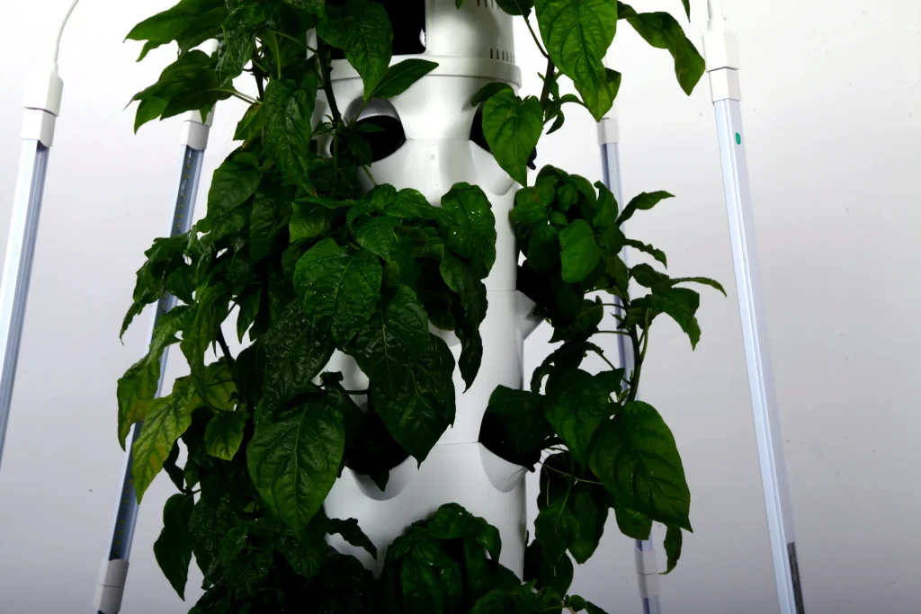 hydroponic tower pump not working